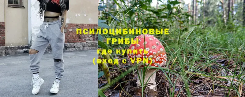 Псилоцибиновые грибы Psilocybine cubensis  где продают наркотики  Хабаровск 